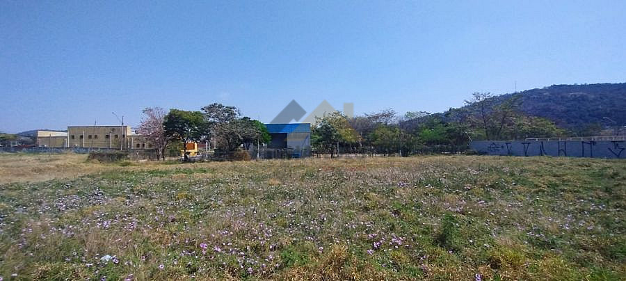 Terreno, 540 m² - Foto 6